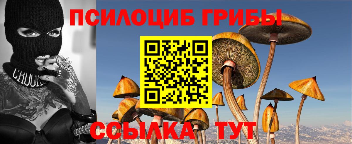 Галлюциногенные грибы Cubensis  Вход с VPN  Астрахань 