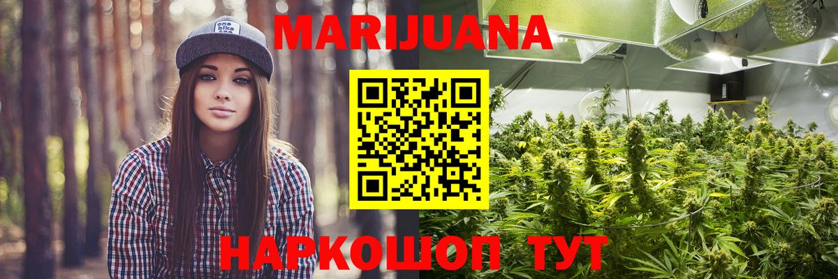 Марихуана сатива Астрахань